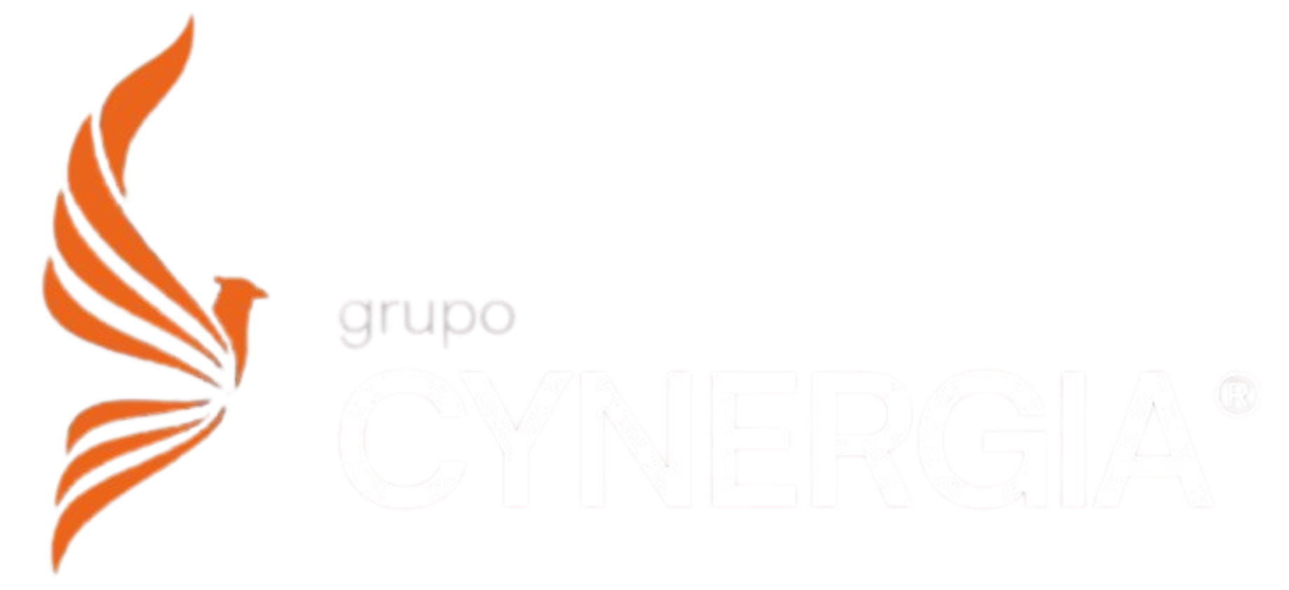 Grupo Cynergia - Intermediação de crédito